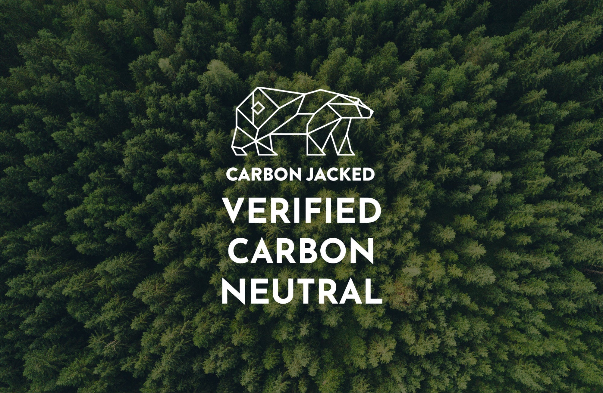 Our 2023 - 2024 Carbon Emission Report