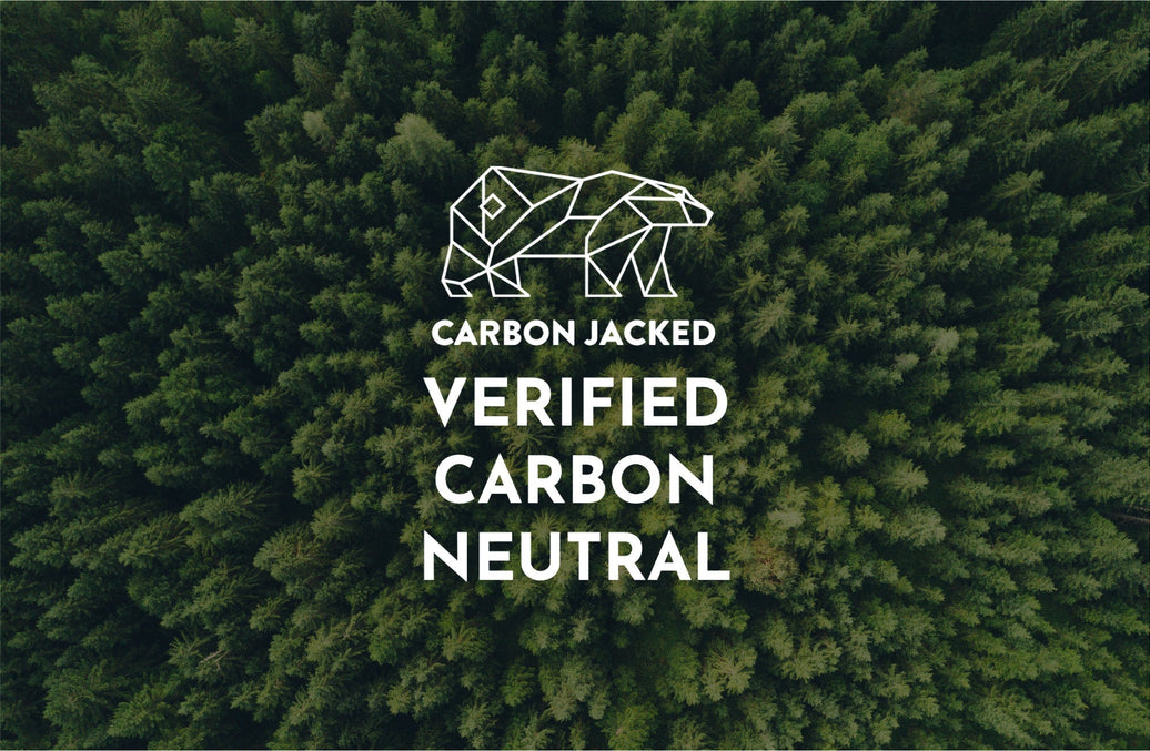 Our 2023 - 2024 Carbon Emission Report
