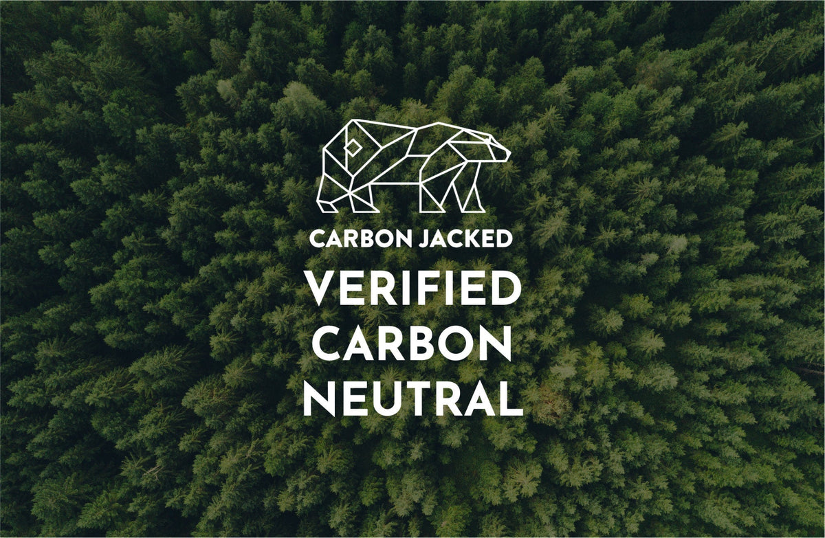 Our 2023 - 2024 Carbon Emission Report