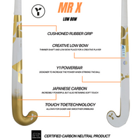 MR X