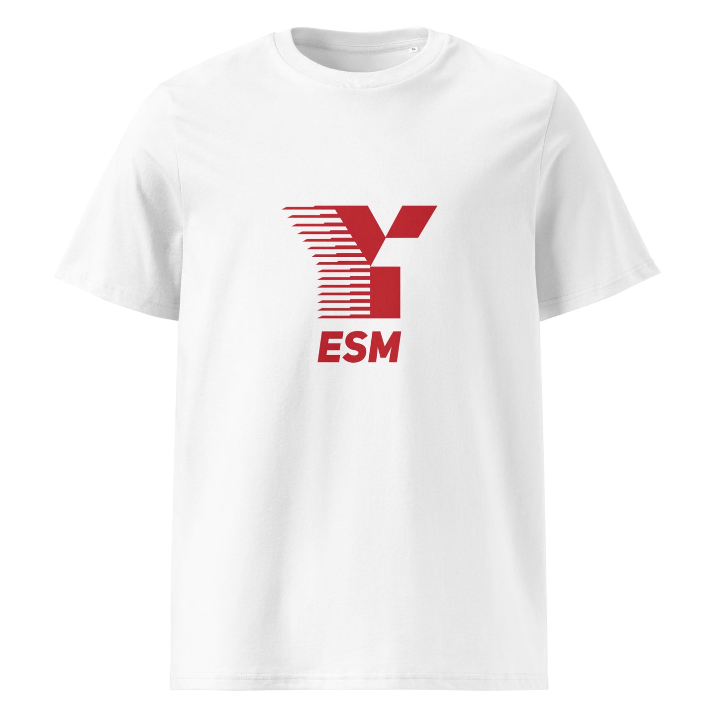 ESM Cotton Fade Tee (2)